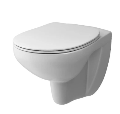 Подвесной безободковый унитаз Damixa Elder DX17C1700SC, с сиденьем микролифт, цвет белый