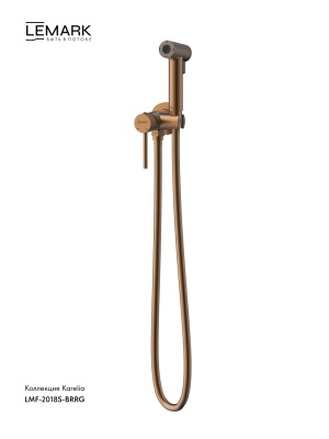 Смеситель Lemark Karelia LMF-2018S-BRRG с гигиеническим душем, встраиваемый