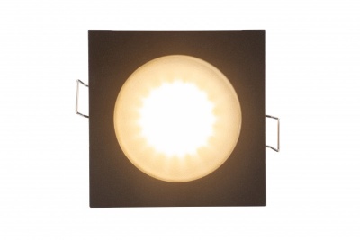 Влагозащищенный светильник Denkirs DK3015-BK